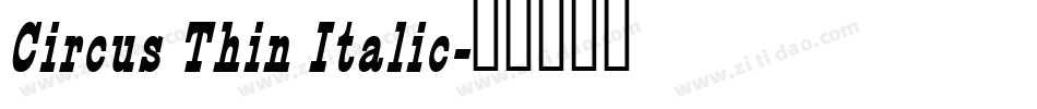 Circus Thin Italic字体转换